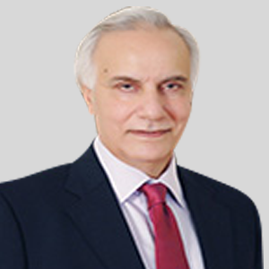 Tasneem Noorani Tasneem Noorani